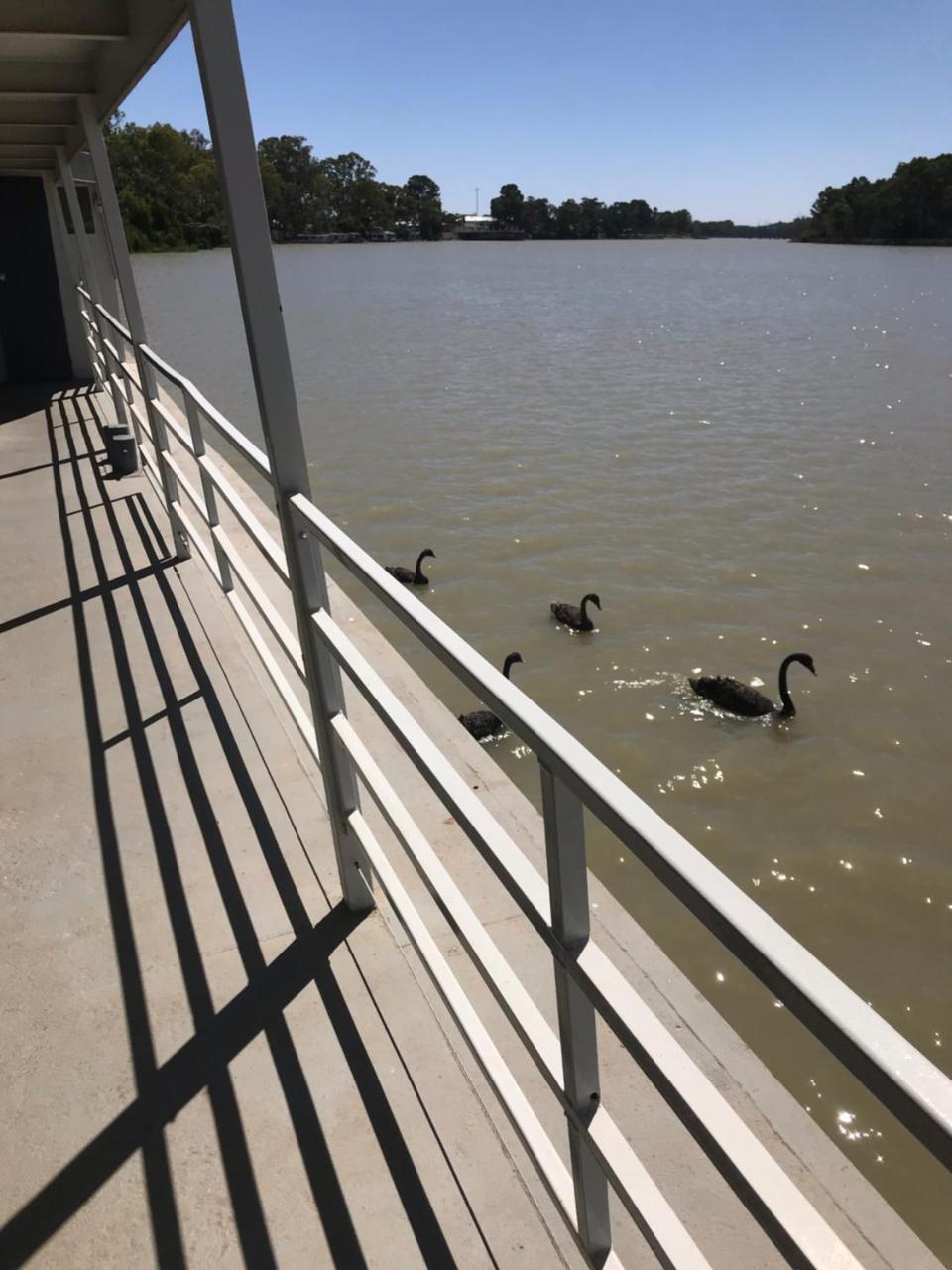 Murray River Queen Hotel Renmark Exterior photo